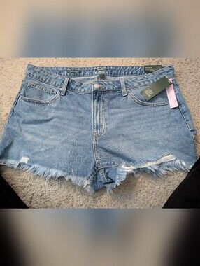wild fable Light Blue High-Rise Frayed Denim Shorts